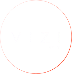 VIZI GROUP
